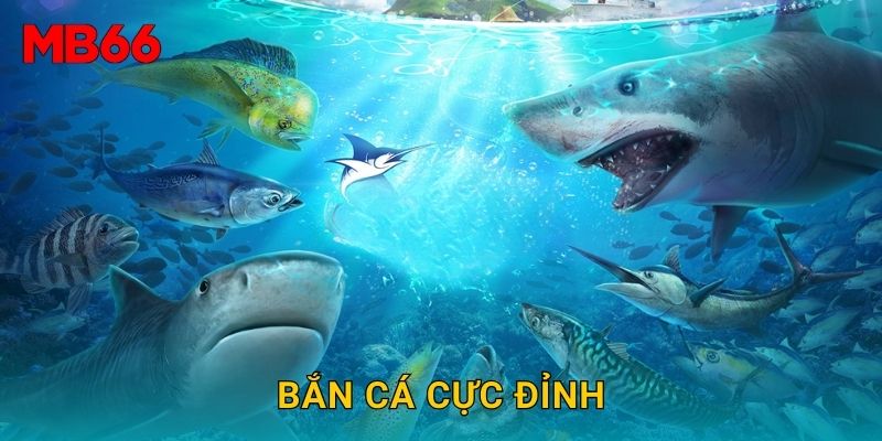 Bắn cá cực đỉnh hấp dẫn tại Mb66 cho người chơi mới
