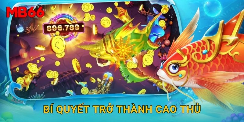 Bí quyết trở thành cao thủ